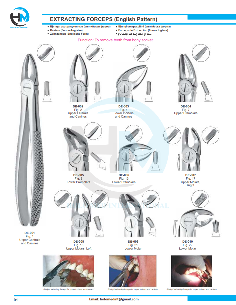 Holomed International